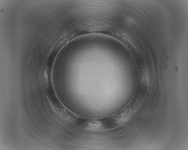X0000067380214200603311219