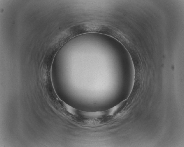 X0000067380215200603311219