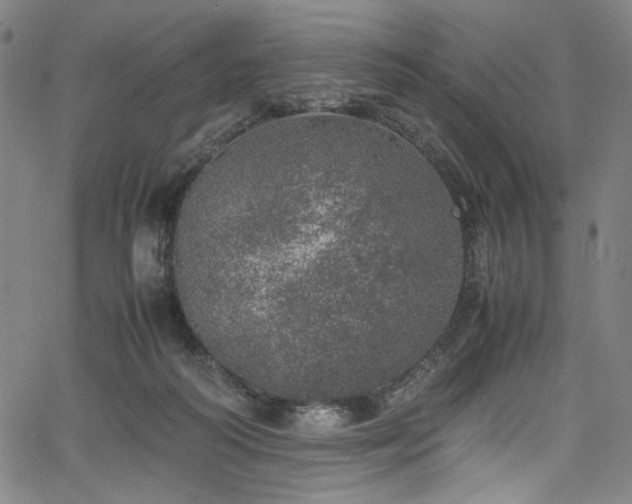 X0000067380218200603311219