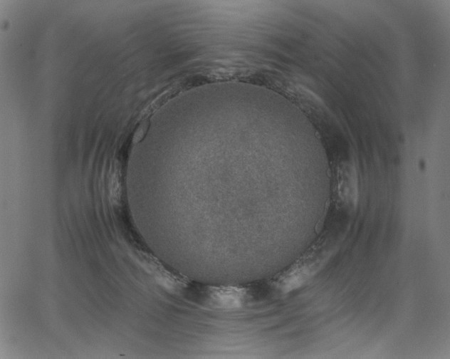 X0000067380226200603311219