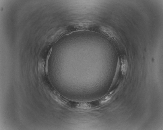 X0000067380231200603311218
