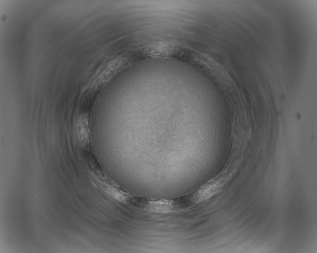 X0000067380240200603311218