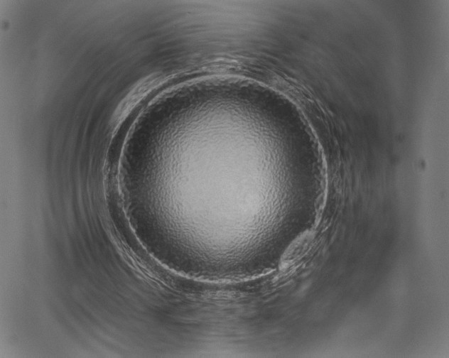 X0000067380242200603311218