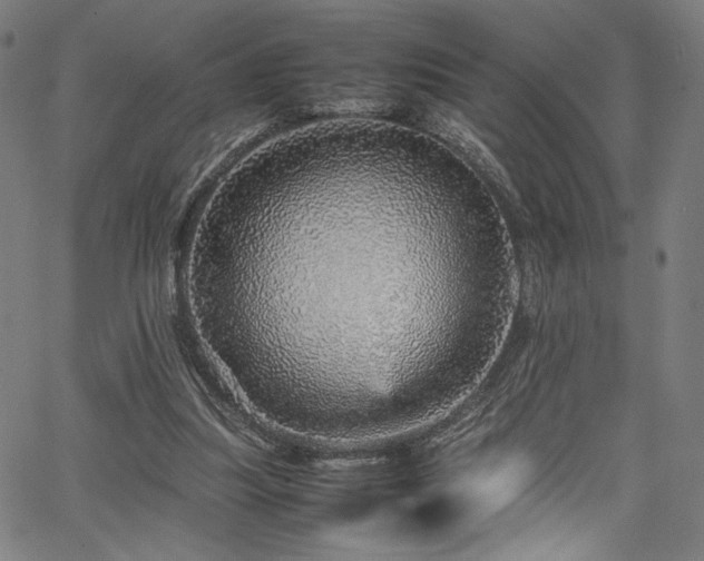 X0000067380251200603311218