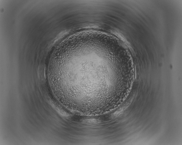 X0000067380253200603311218