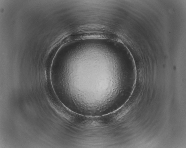 X0000067380254200603311218