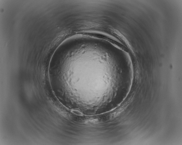 X0000067380257200603311218