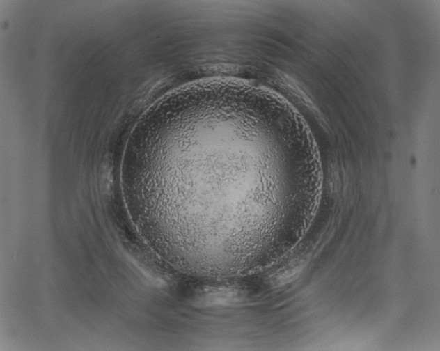 X0000067380259200603311218
