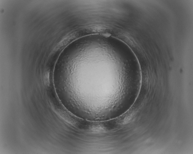 X0000067380262200603311218