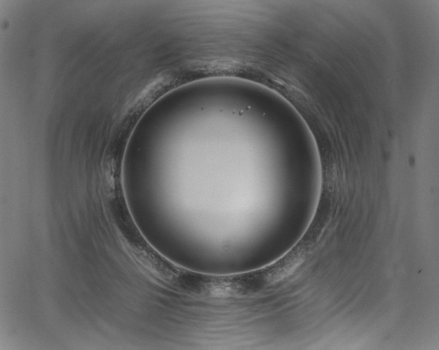 X0000067380264200603311218
