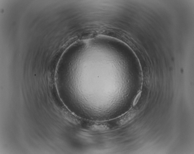 X0000067380270200603311218