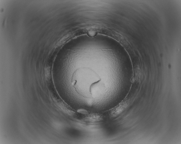 X0000067380278200603311218