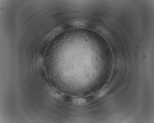 X0000067380281200603311218