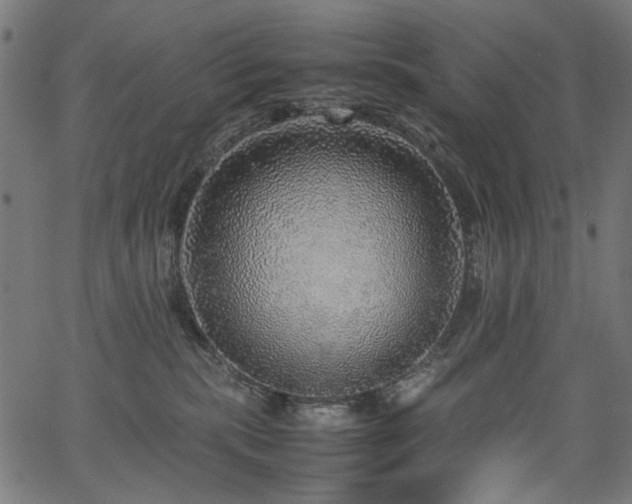 X0000067380283200603311218