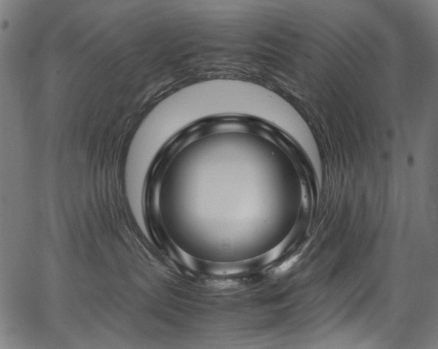 X0000067380287200603311218