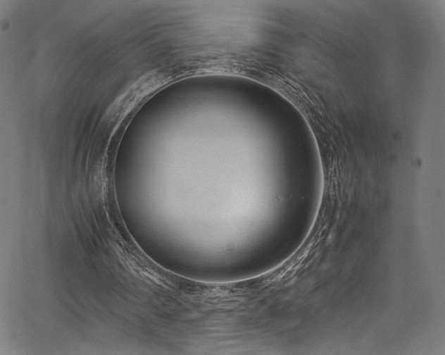 X0000067380290200603311217
