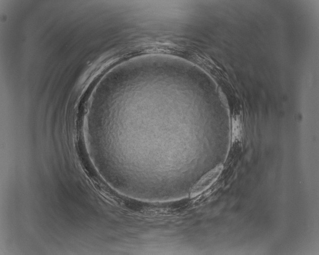 X0000067380291200603311217