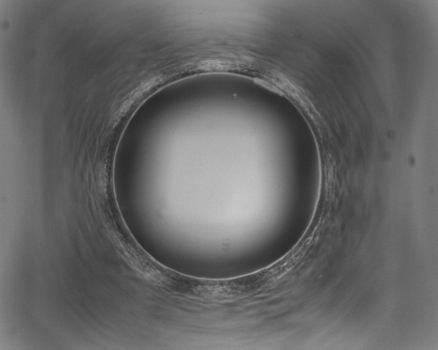 X0000067380297200603311217