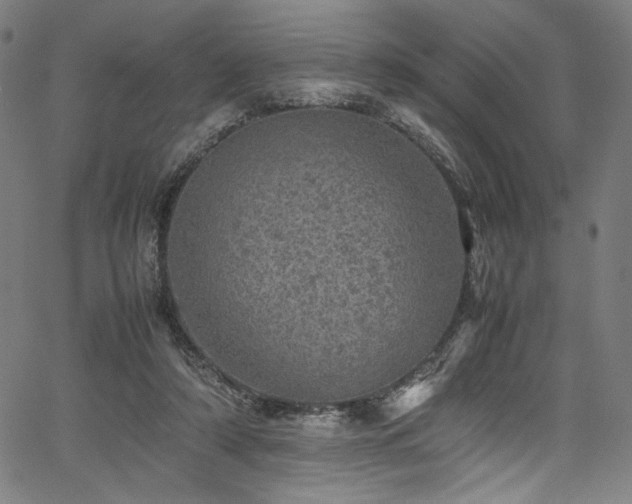 X0000067380306200603311217