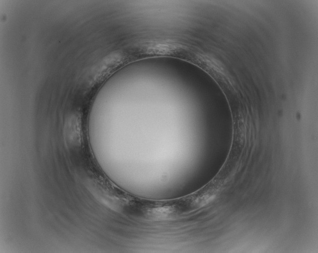 X0000067380312200603311217