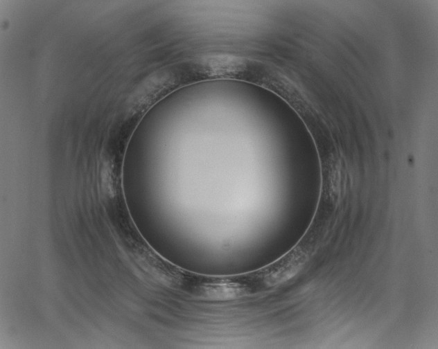 X0000067380316200603311217