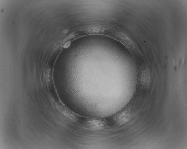 X0000067380326200603311217