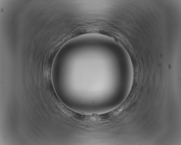 X0000067380329200603311217