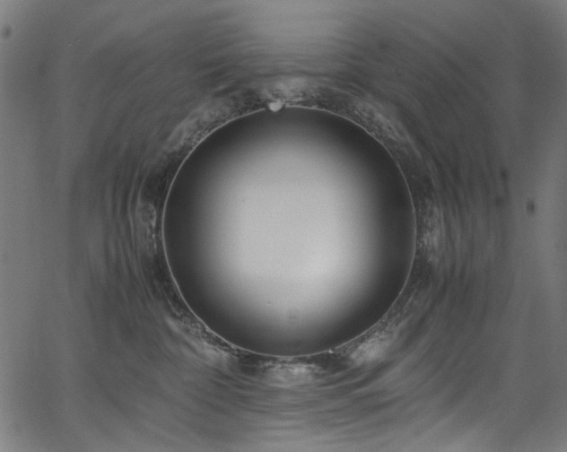 X0000067380332200603311217