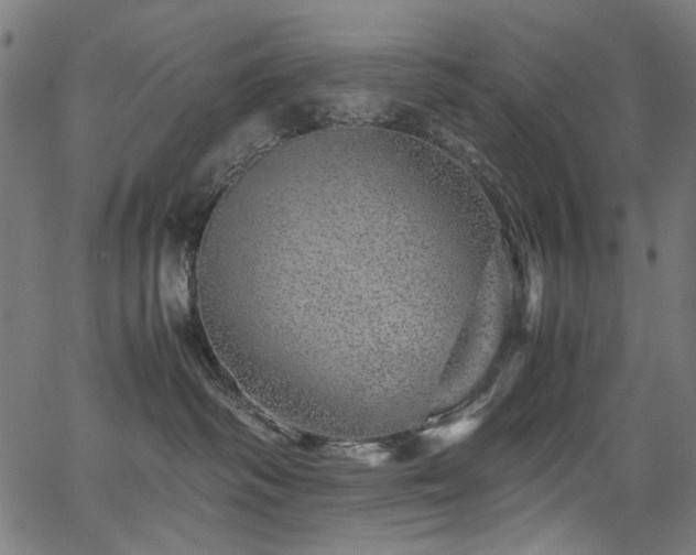 X0000067380334200603311217