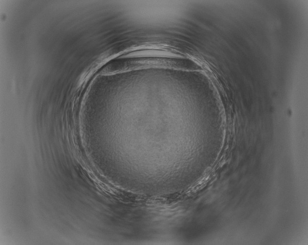 X0000067380337200603311216
