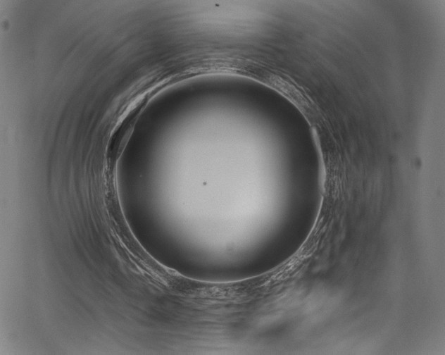 X0000067380338200603311216