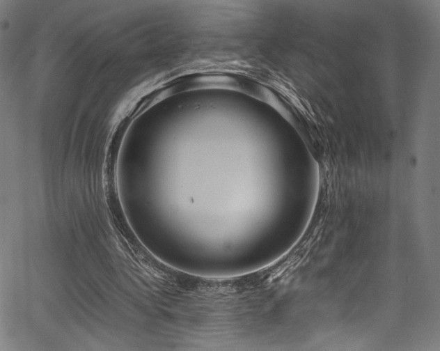 X0000067380340200603311216