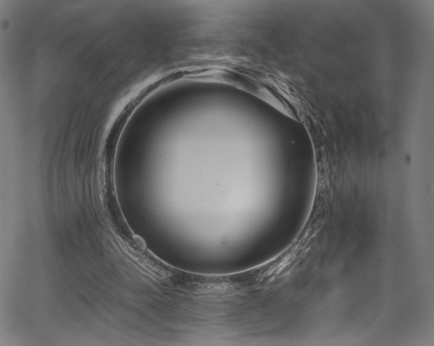 X0000067380342200603311216