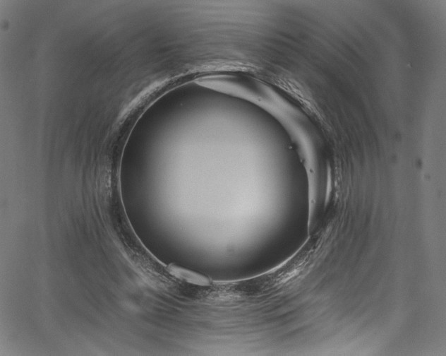 X0000067380348200603311216