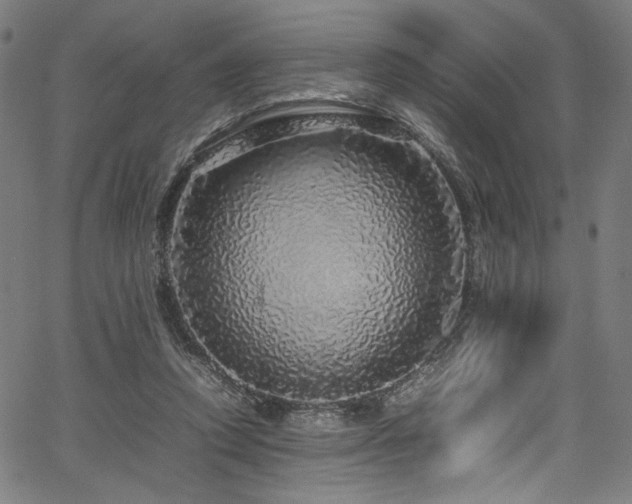 X0000067380354200603311216