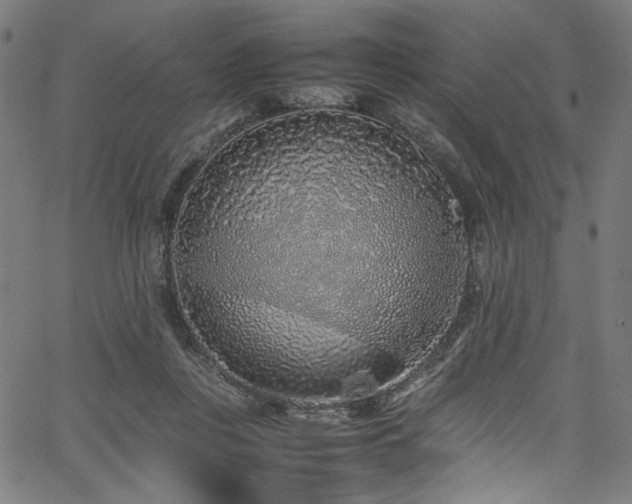 X0000067380359200603311216