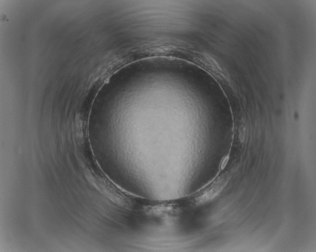 X0000067380366200603311216