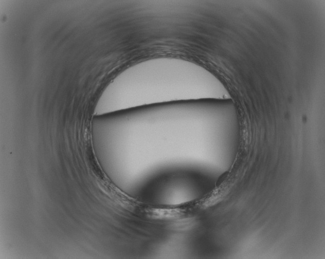 X0000067380371200603311216