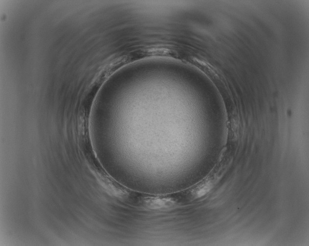 X0000067380379200603311217