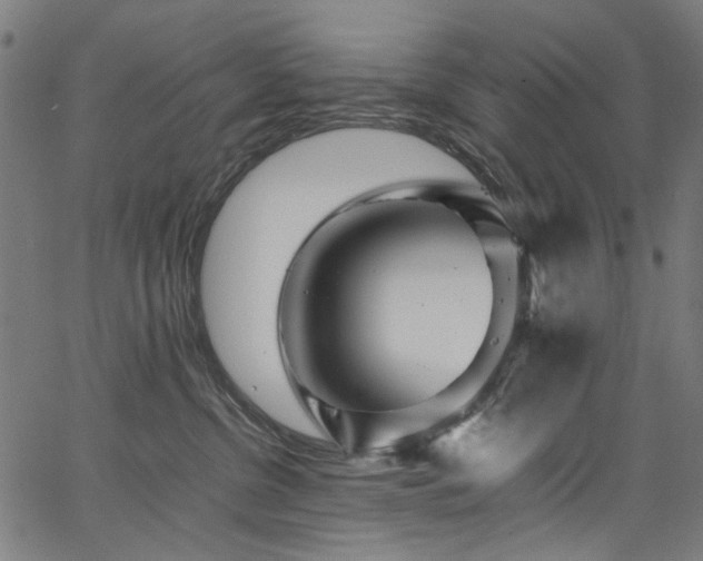X0000067380380200603311217