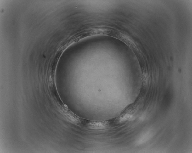 X0000067380381200603311217