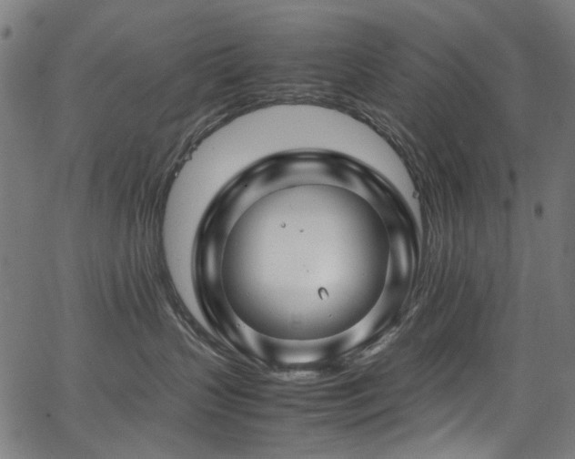 X0000067380383200603311217