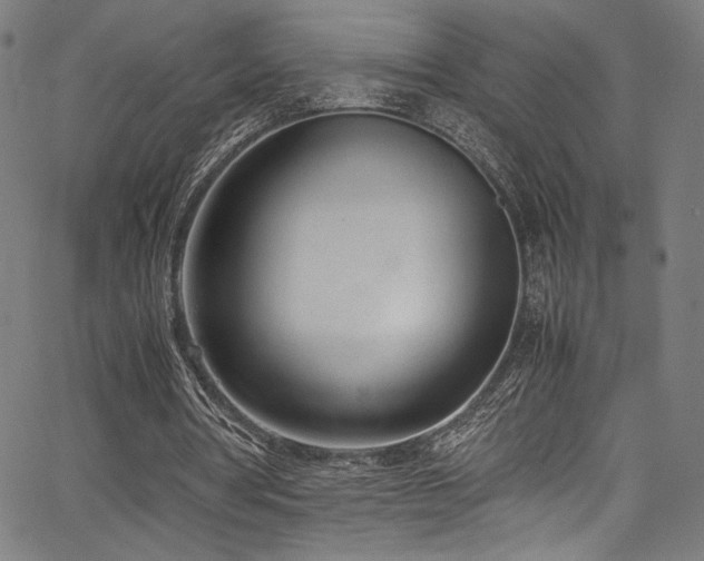 X0000067380386200603311216