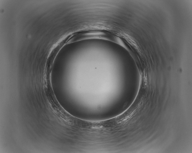 X0000067380388200603311216