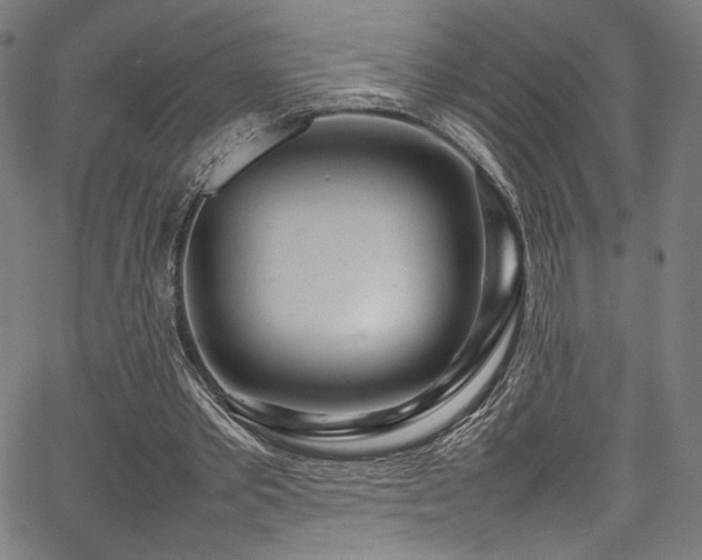 X0000067380389200603311216