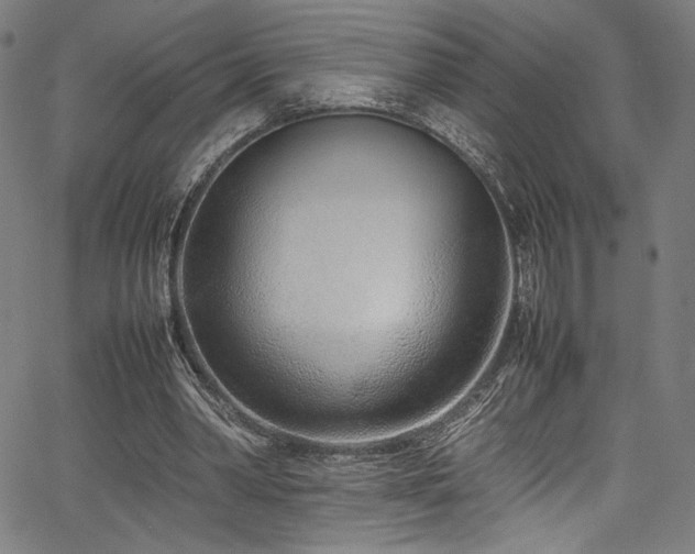 X0000067380390200603311216