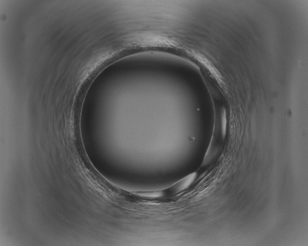 X0000067380391200603311216