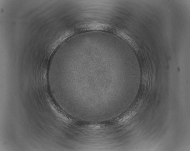 X0000067380394200603311216