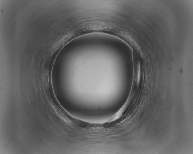 X0000067380397200603311216