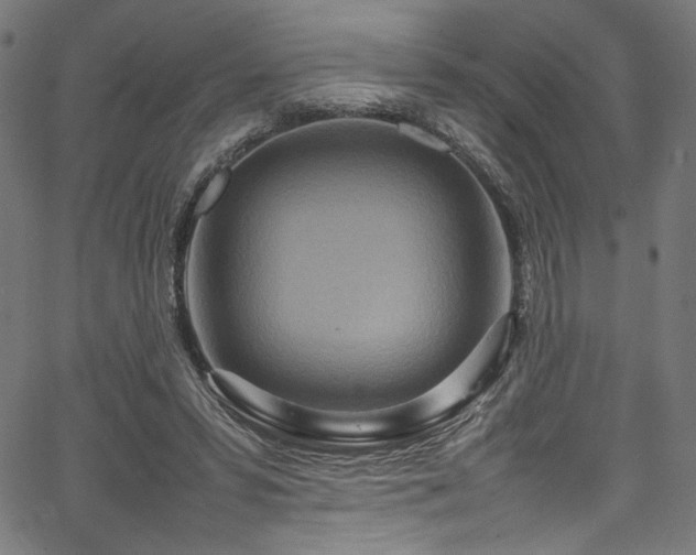 X0000067380399200603311216
